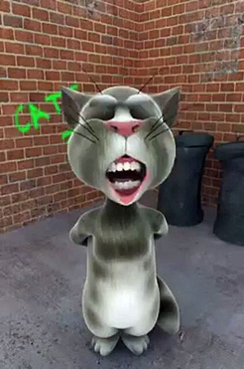 Tom Cat Saying Go Nawaz Go