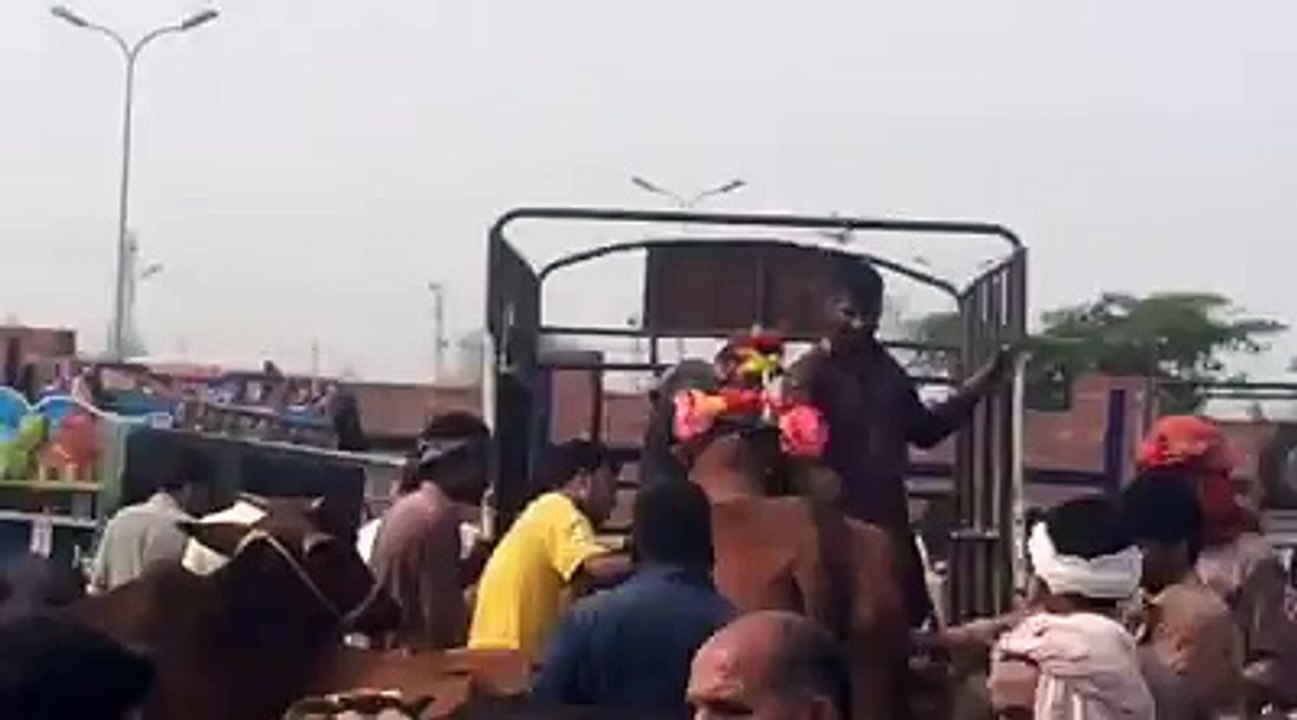 Bull Run at the time of uploading in Van on Bakra Eid 2015 Lahore
