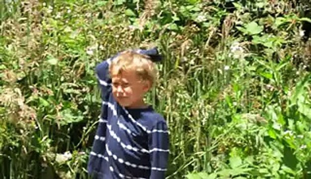 Blackbird Attacks People Funny Latest Funny Clips On Fantastic Videos