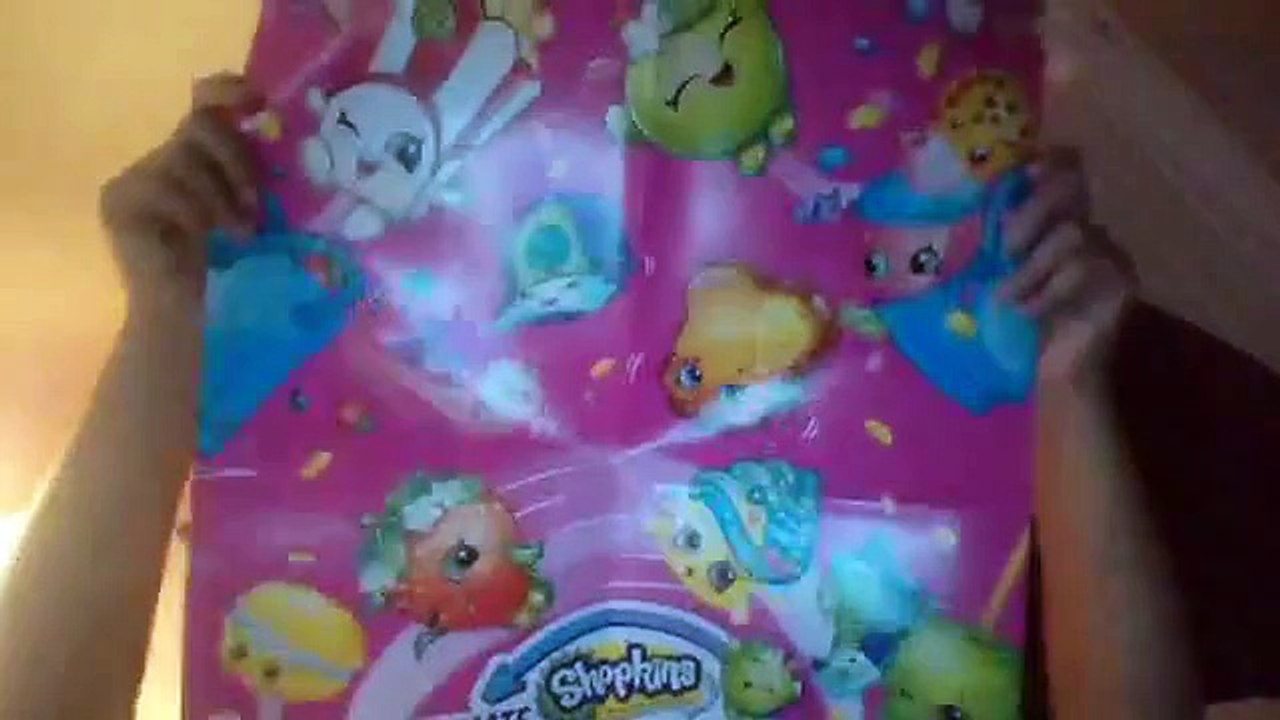 All my shopkins things