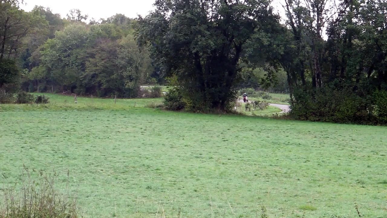 El Bruzzi: le ducatiste qui roule plus vite que son ombre