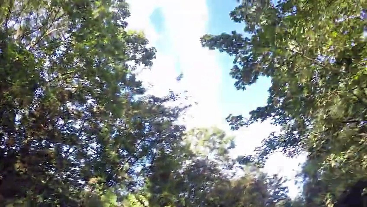 Randonnée VTT de la Française de mécanique 2015