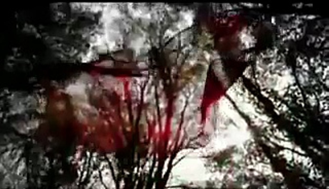 Hülya Polat - Sen Rüzgar Bende Yaprak