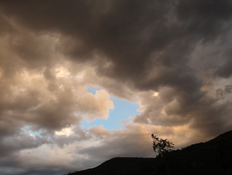 Aragon “Il n'y a pas d'amour heureux ” par Julien Roux (2015)