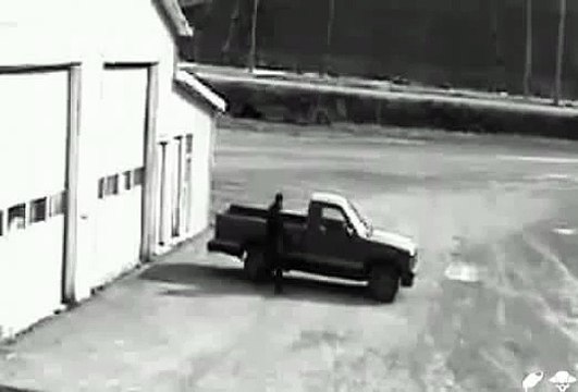 Don't steal a manual gearbox car when you can't drive it! Hilarious