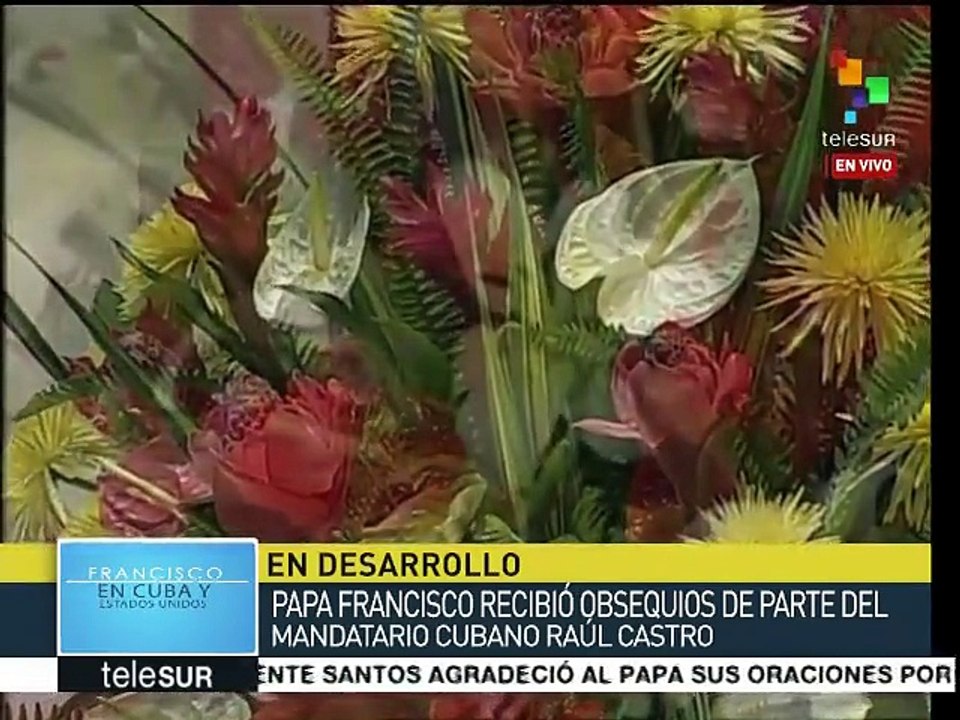 Papa Francisco se reunirá con jóvenes cubanos