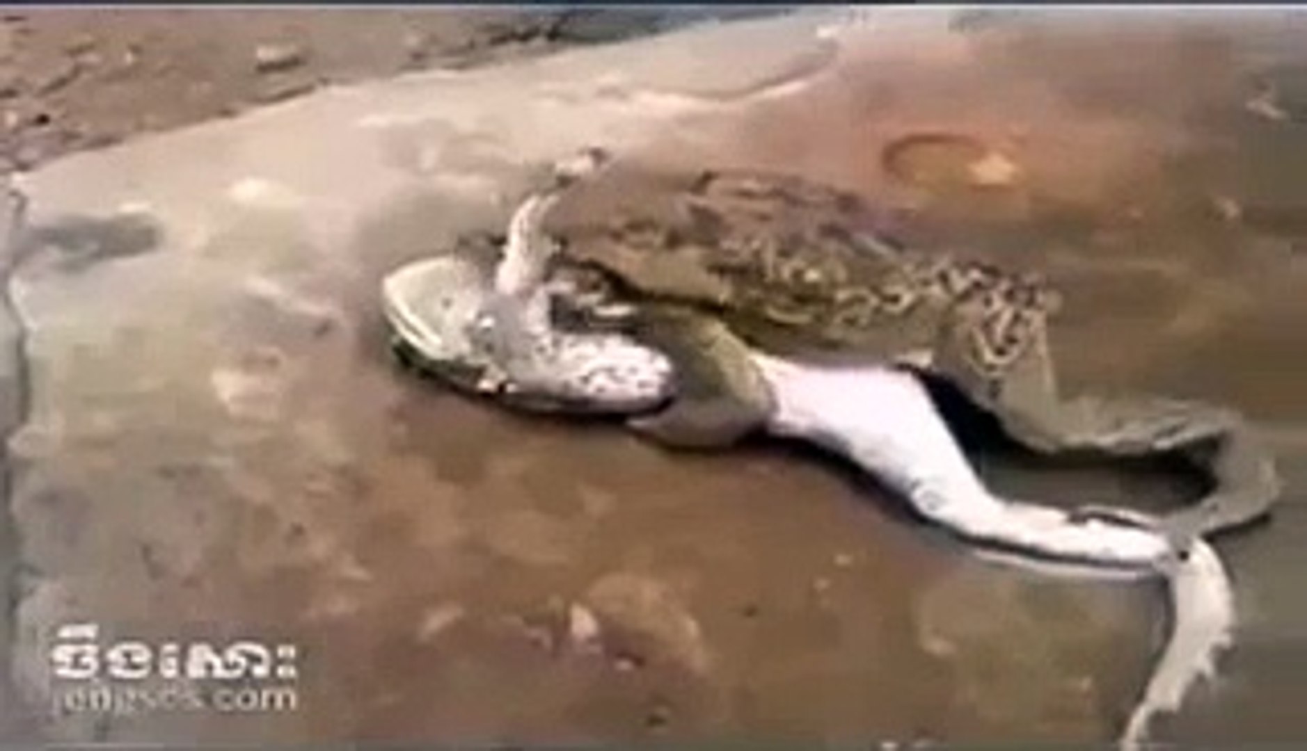 New Whatsapp funny video medhak sex masti - Dailymotion Video