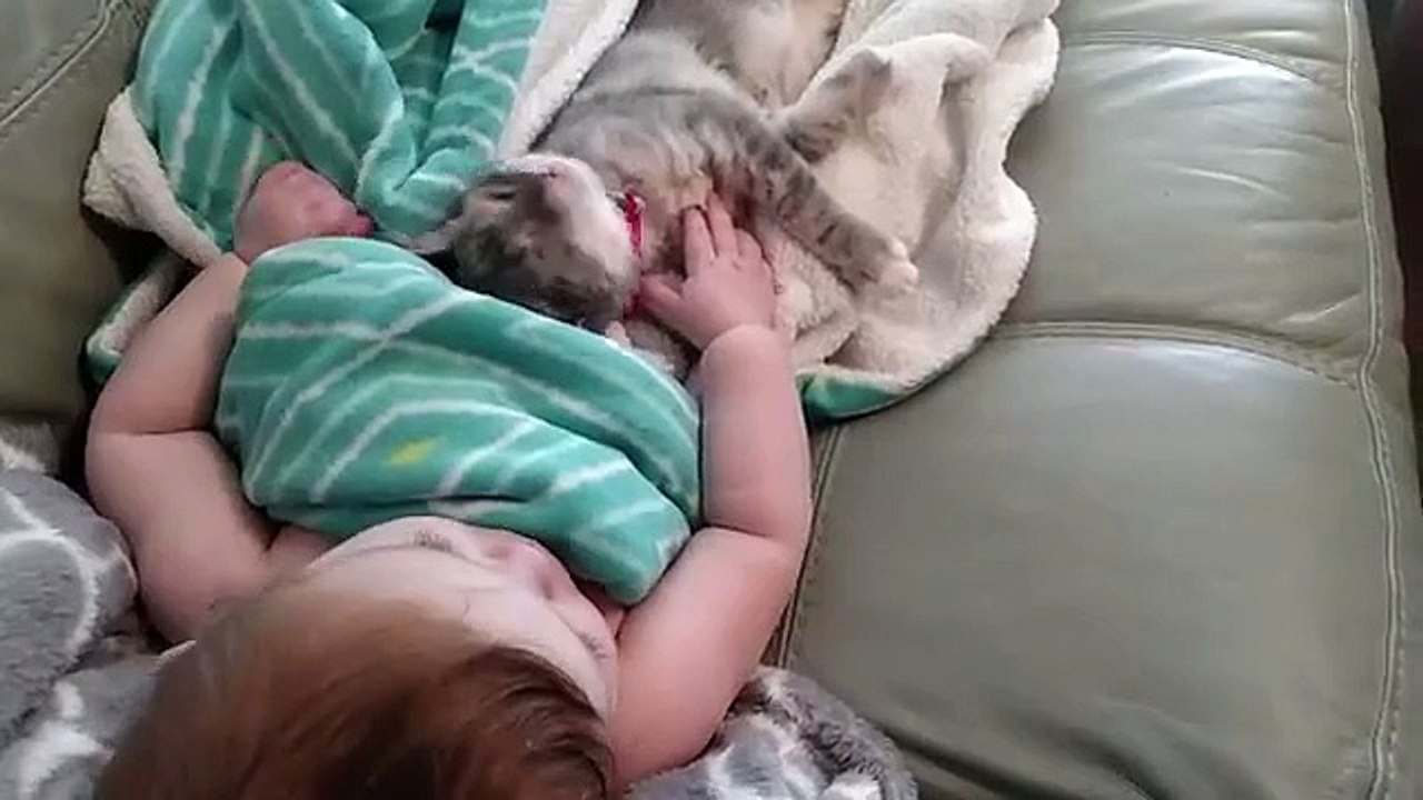 Un bébé et un chaton qui se réveillent en même temps