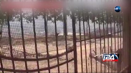 Nouveau cessez le feu temporaire dans trois localités syriennes.