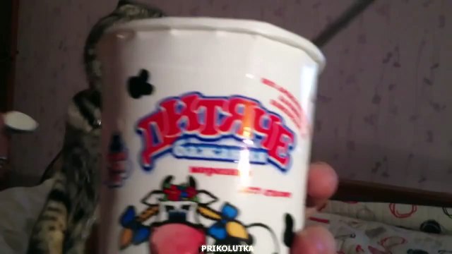 Кот сидит и ест мороженое!