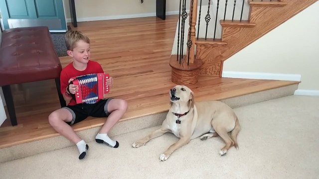 Они нашли друг друга!