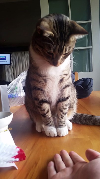 Ahh! a hand!