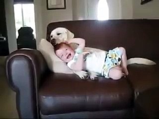 Эта собака знает, как обращаться с малышами)))