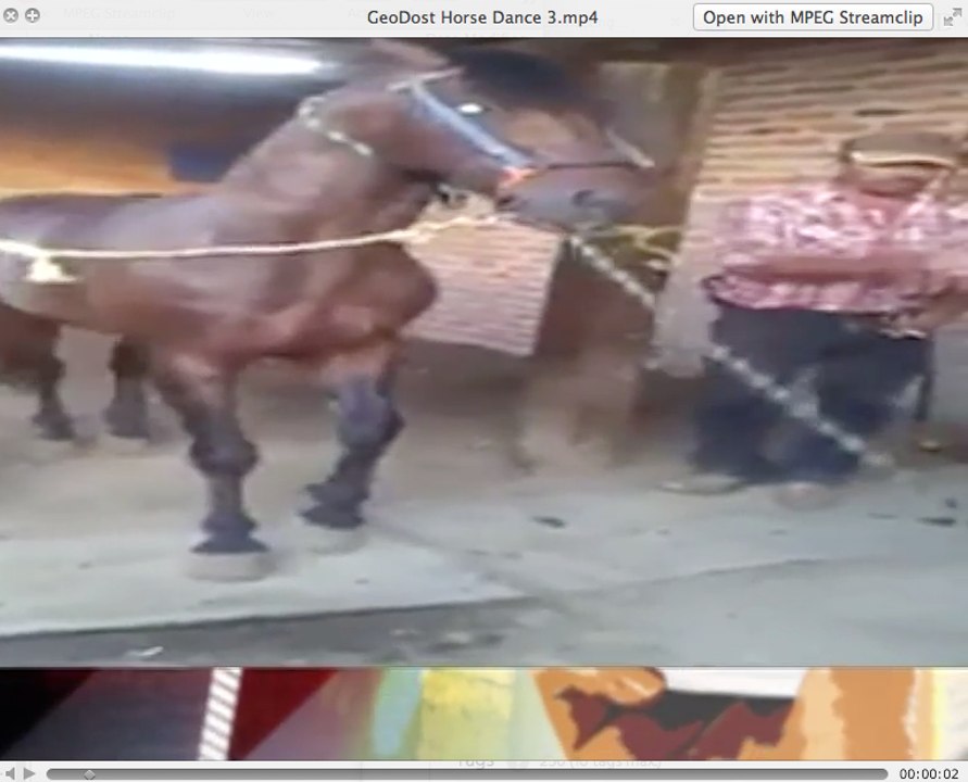 GeoDost Horse Dance