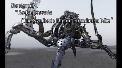 Sleetgrout - Rotten Reverie (The Synthetic Dream Foundation mix)