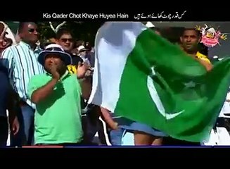 funny song about criket ,great funn