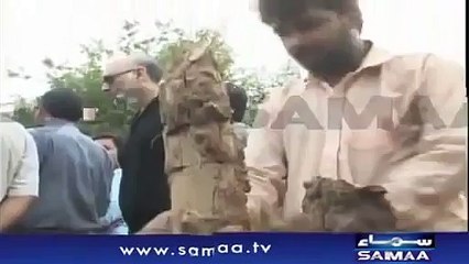 1.1 million years old animal fossil found in Pakistan