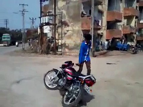 Ha Ha Ha - Bike Stunt fails - Pride of Cows appeared - Video Dailymotion
