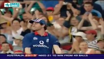 Top 10 Funny Moments of ICC Cricket World Cup 2015 - Video Dailymotion