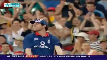 Top 10 Funny Moments of ICC Cricket World Cup 2015 - Video Dailymotion