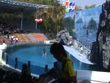 Dolphin and Beluga Show at Safari World Bangkok Thailand part1 (17/01/09)