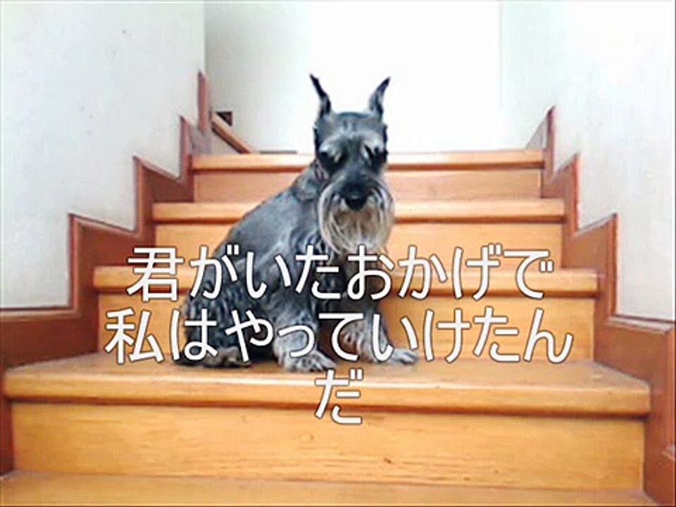 ワン、最後の言葉