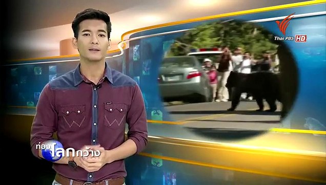 เจาะลึก...กำเนิดโลก ตอน เยลโลว์สโตน 20AUG15