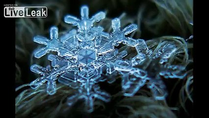 HD Of Snowflakes - Macro Photography