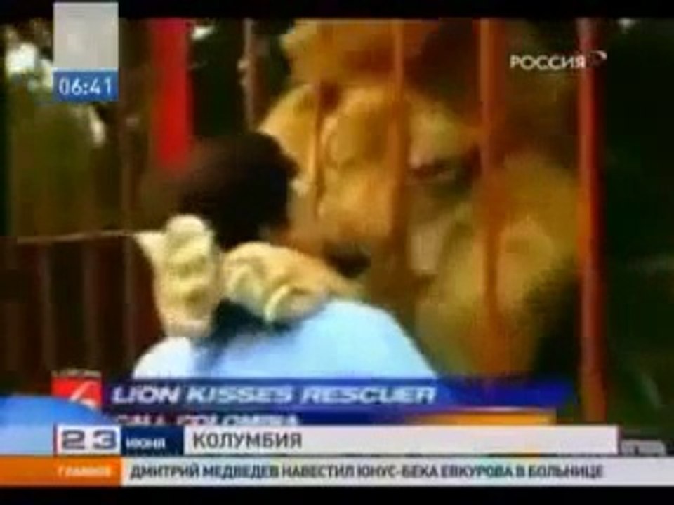 Лев узнал и обнял свою спасительницу спустя годы