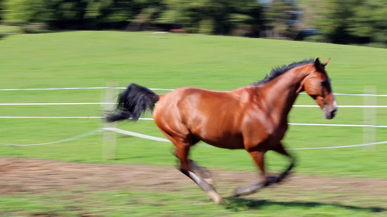 15-09-19 - Paddock 1