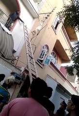 Goat Hanging on a Wire