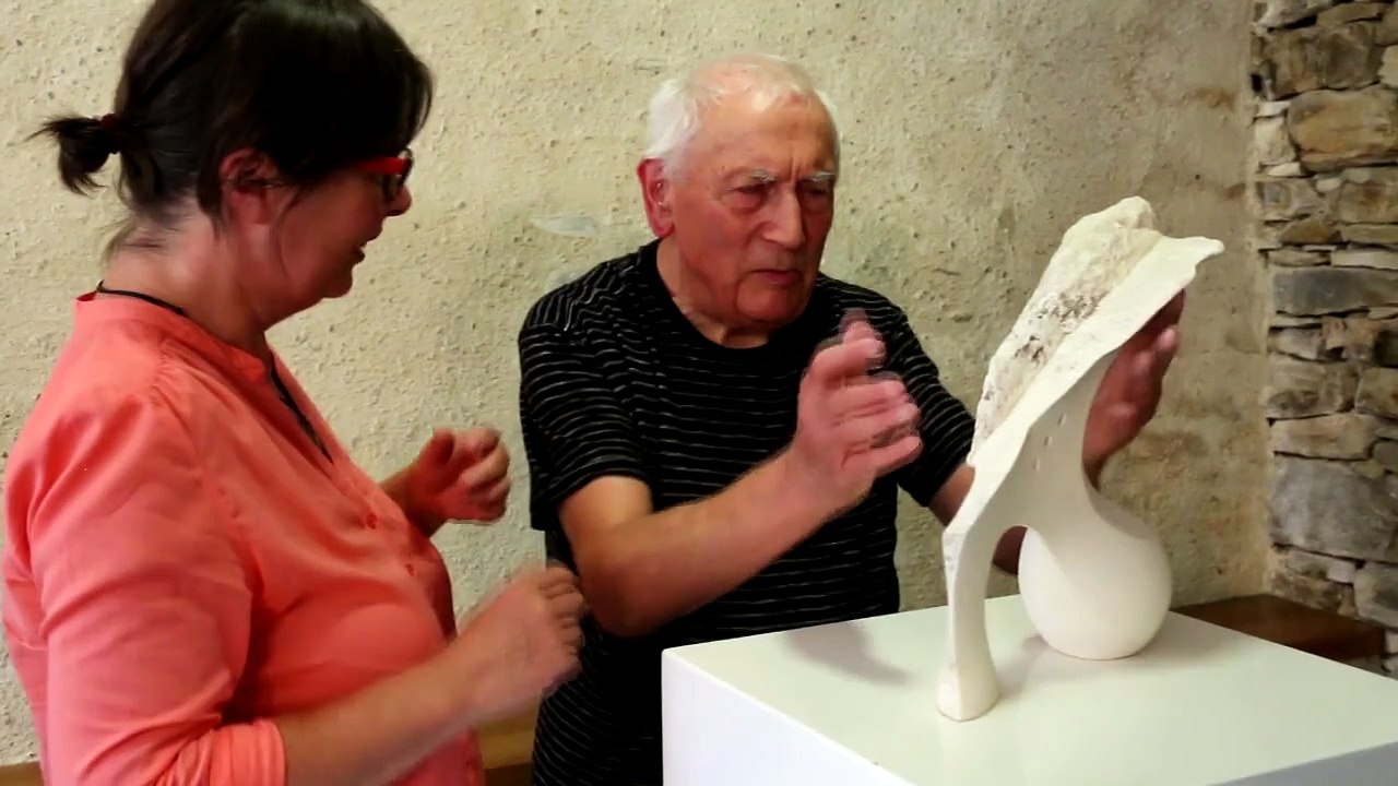 Handicap Vendéthèques