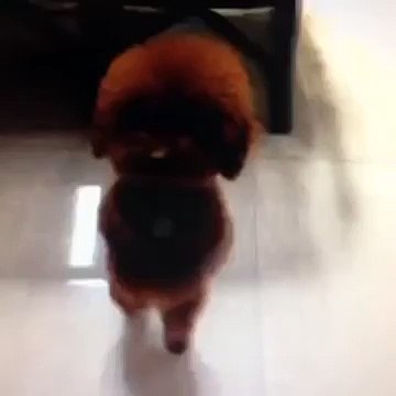 ヴ용인출장마사지≪OIO↔7455↔4242≫용인출장안마檢오늘전화주기로했는데☎☏