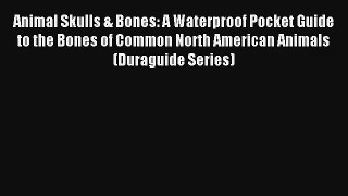Animal Skulls & Bones: A Waterproof Pocket Guide to the Bones of Common North American Animals