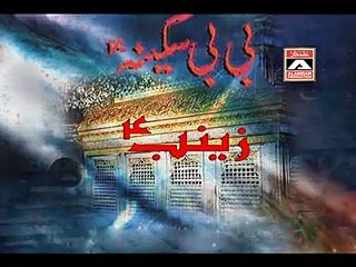 Karbala wagan Video Noha by Zakir Hussain Zakir 2013