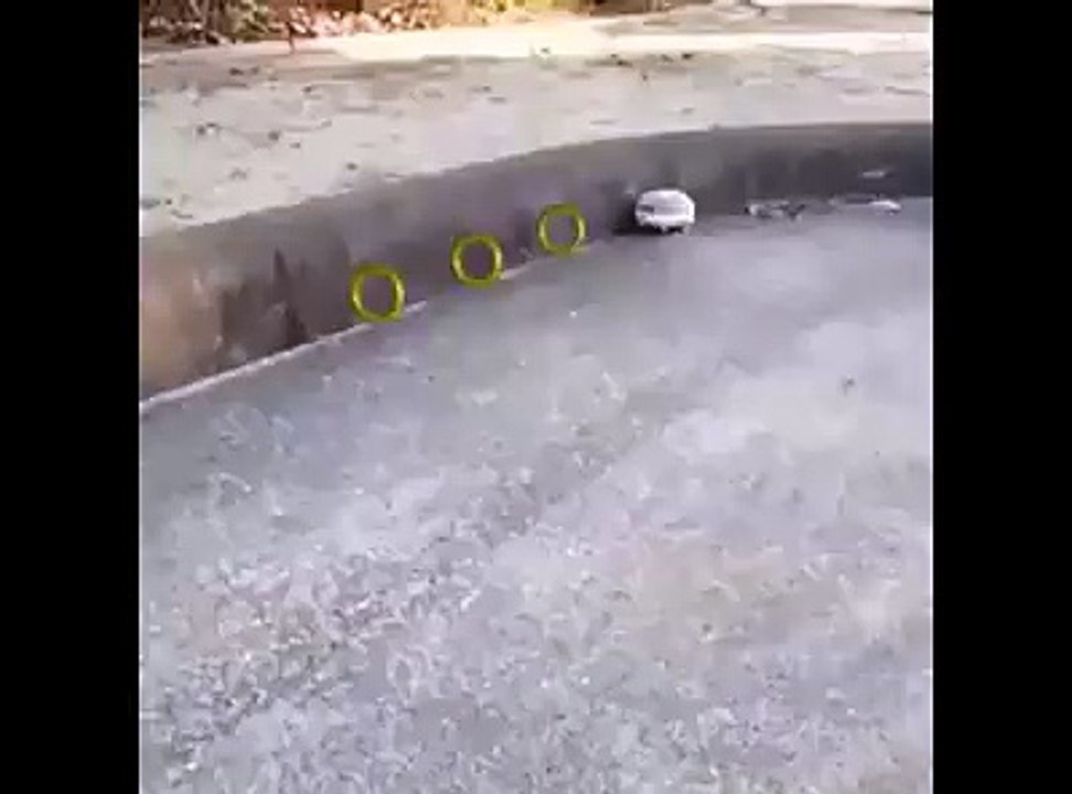 Sonic dans la vraie vie