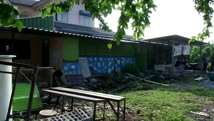 Dozens of 'disruptive' monkeys relocated in Thailand