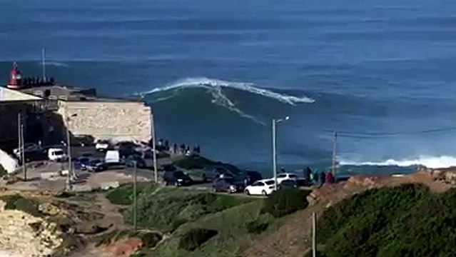 Une grosse paire de couilles !