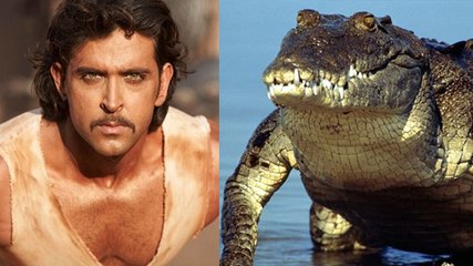Hrithik Roshan To Fight With HUGE Crocodile In Mohen jo Daro