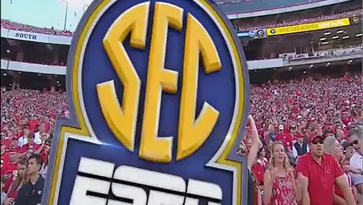 Georgia Fan Gets Caught On Camera Pulling Down A Girl's 