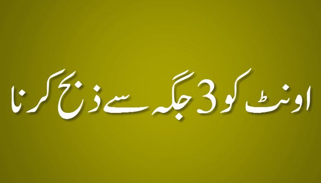 Ount Ko 3 Jaga Se Zibah Karna - Madani Guldasta 565 - Maulana Ilyas Qadri