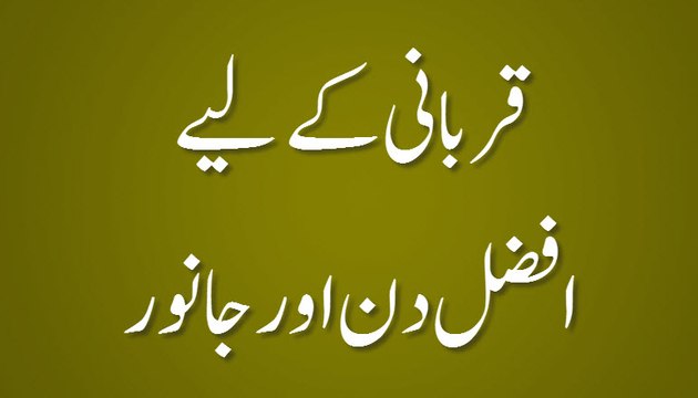 Qurbani Kay Liye Afzal Din Aur Janwar - Madani Guldasta 569 - Maulana Ilyas Qadri