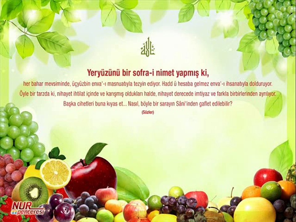 Müzik eşliğinde risaleden resimli vecizeler