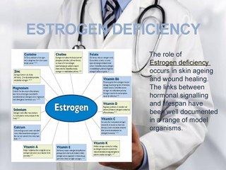 bioidentical doctors