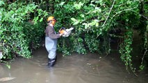 Restauration des cours d’eau du bassin de l’Horn