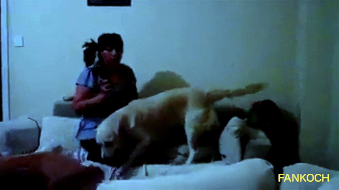 chien defend enfant