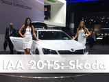 IAA 2015 Skoda: World Premiere of the Superb Estate, Sportline and Superb Greenline