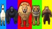 Lion King Finger Family Nursery Rhymes | Lion King Cartoon Finger Family Rhyme for Children