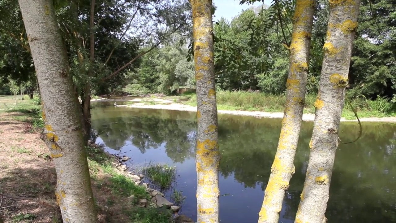 Restauration de la continuité de l’Arnon