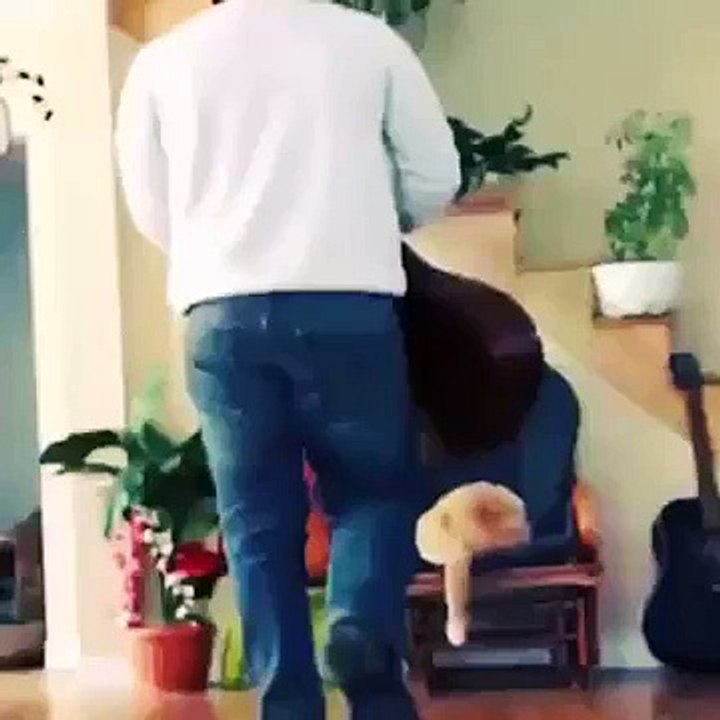 funnyy